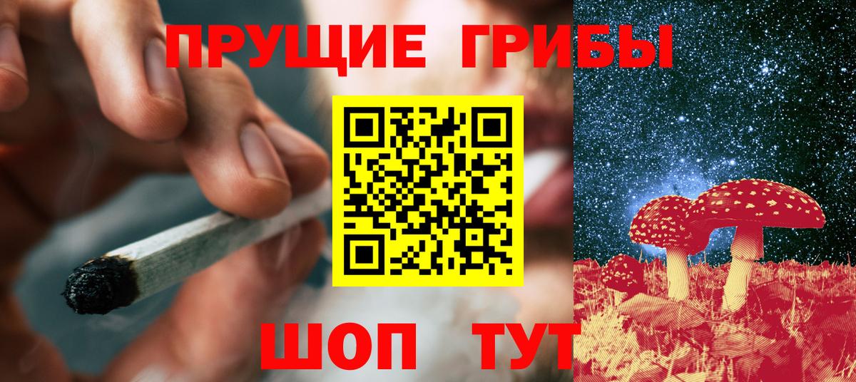Орехово-Зуево  Галлюциногенные грибы Cubensis  Вход с VPN  Псилоцибиновые грибы мухоморы 